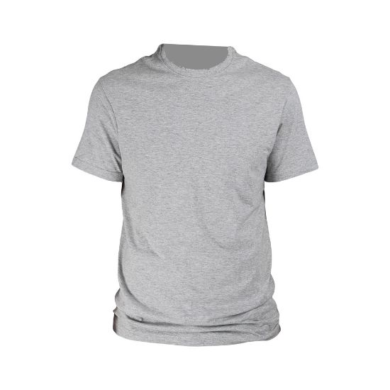 Εικόνα της T-shirt κοντομάνικο γκρι ανοιχτό MOLOSSOS 04.09.HEAT (MEL)