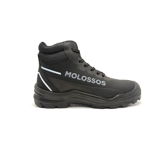 Picture of Safety high shoes 02.CLIFF (BL) S3 FO SR MOLOSSOS
